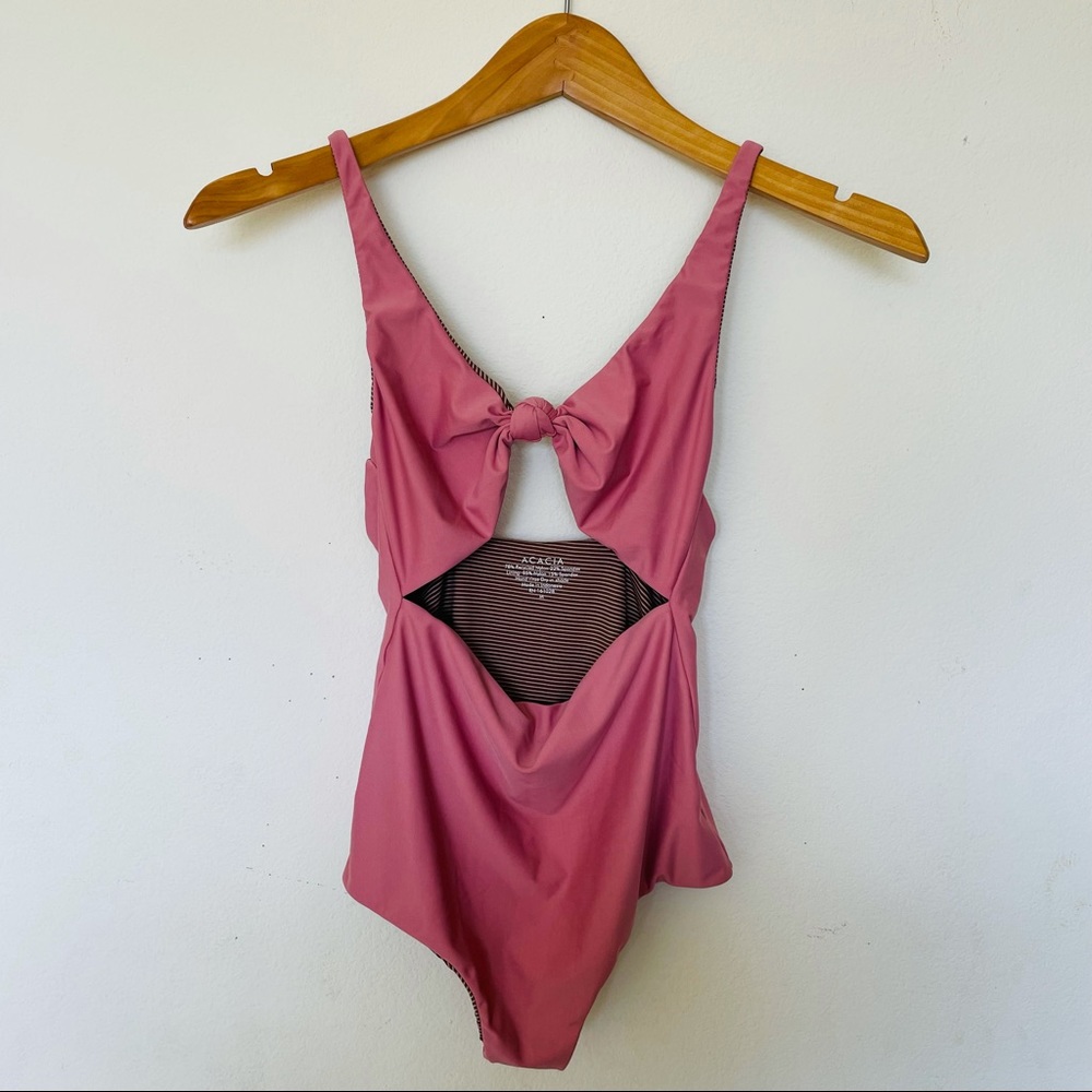 Acacia Indies in Petal